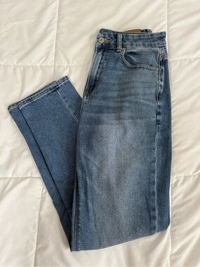 American Eagle Outfitters Medium Wash High-Rise Straight Jeans